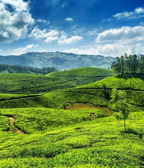 Munnar