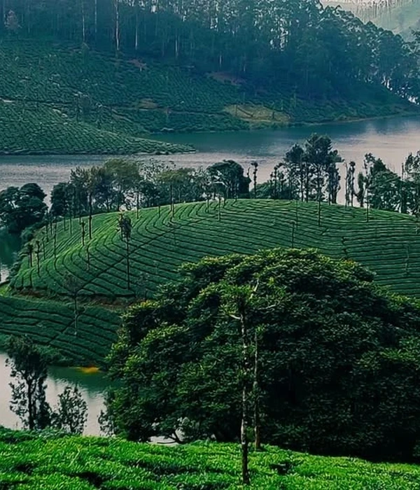 wayanad