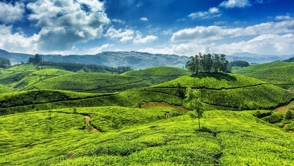 Munnar Misty Hills