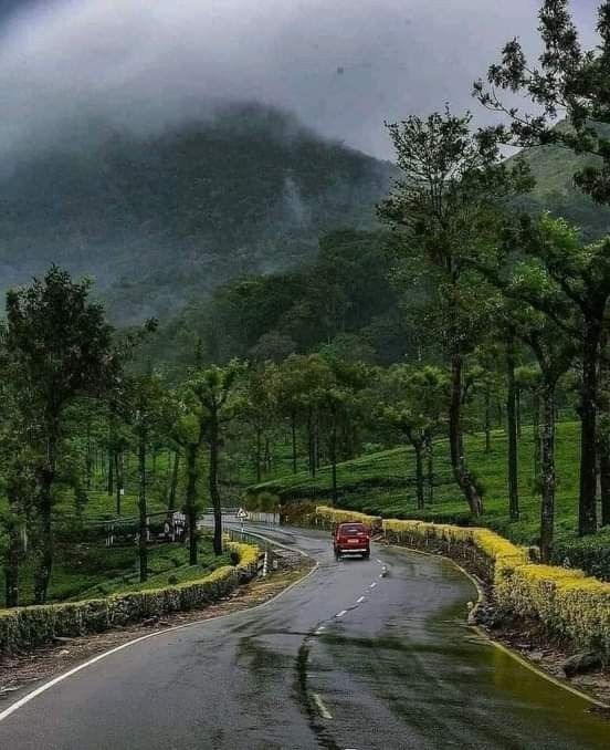 Munnar Tea Gardens