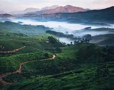 Munnar Tea Hills & Waterfalls